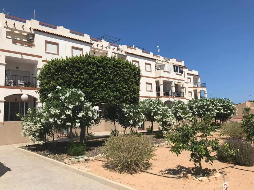 Casa Punta Prima Διαμέρισμα Οριουέλα Εξωτερικό φωτογραφία