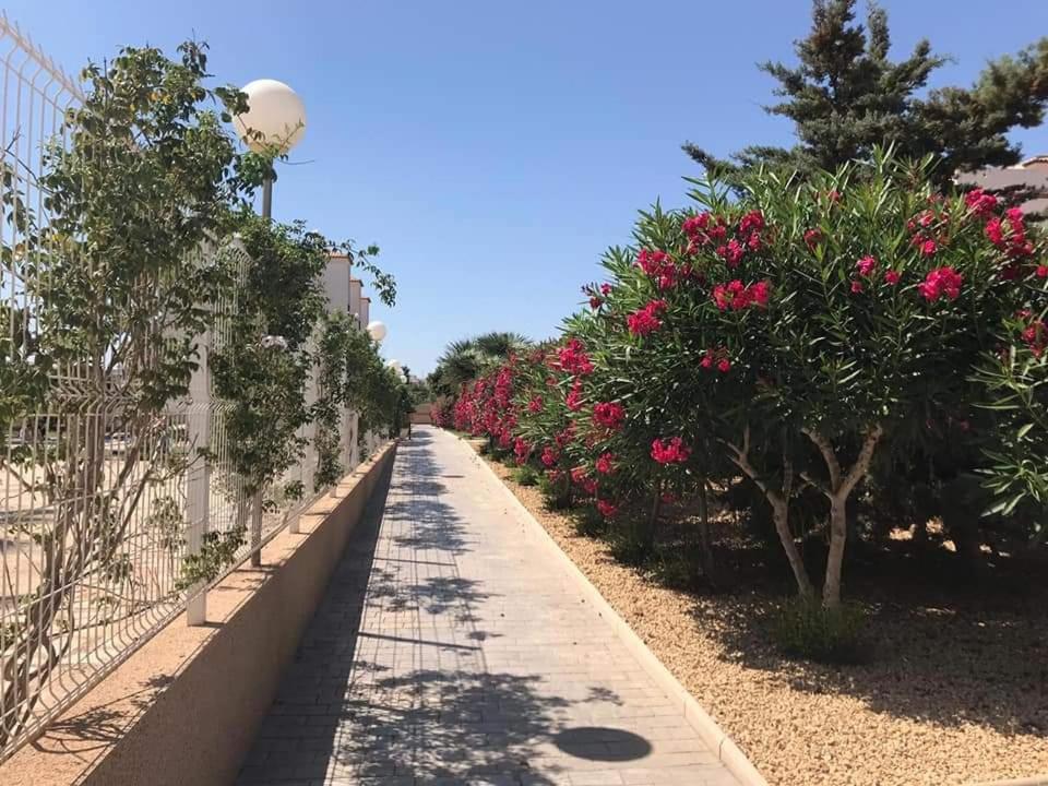 Casa Punta Prima Διαμέρισμα Οριουέλα Εξωτερικό φωτογραφία